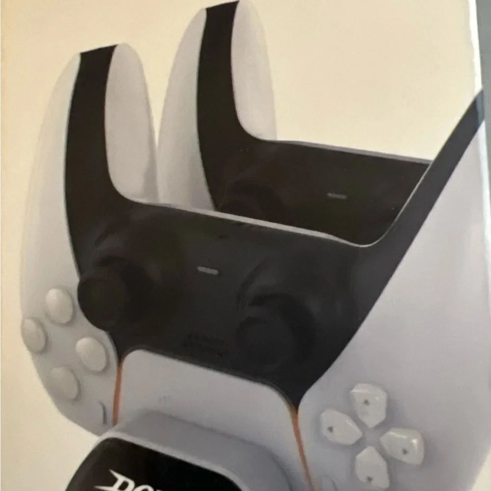 Dual Controller Charging Station - Black and White